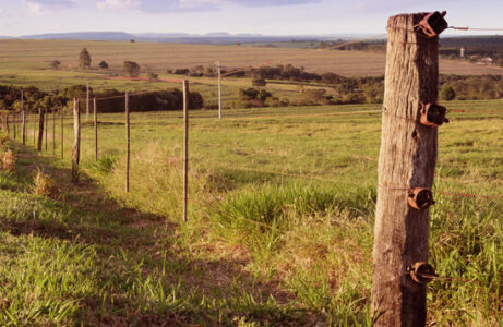 The “Back to the Land” Movement